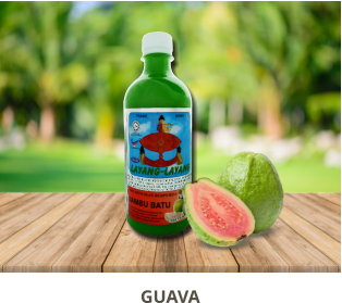 GUAVA