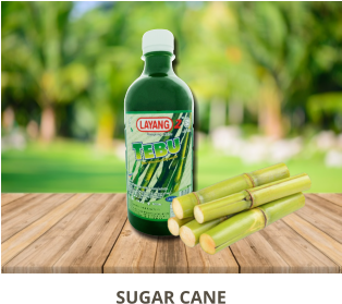 SUGAR CANE