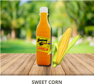 SWEET CORN